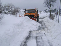 unimog